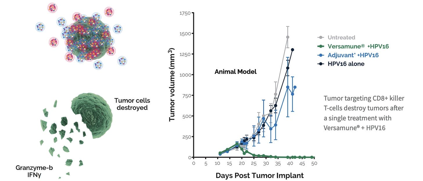 A graph of tumor cells AI-generated content may be incorrect.
